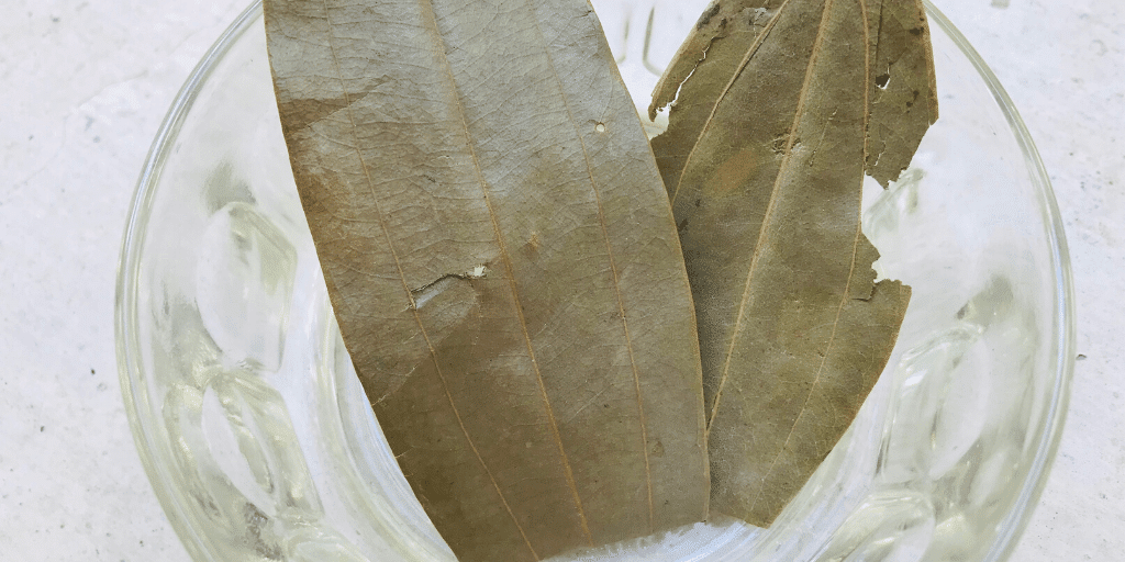Bay Leaves / तेज पत्ता Benefits and Side Effects Tasted Recipes
