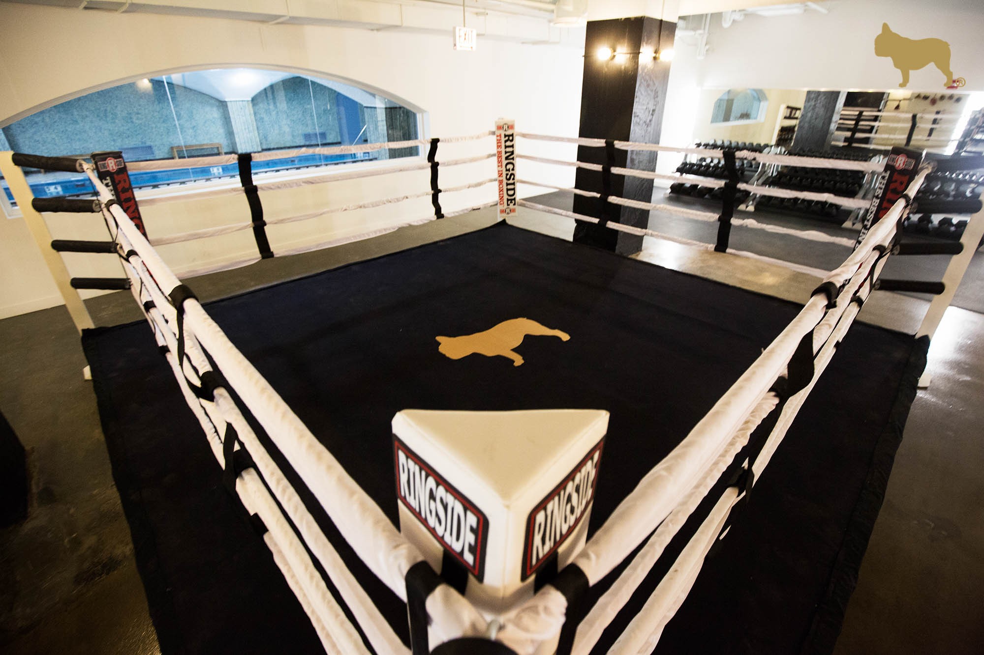 The Lawrence House, Chicago (see pics & AVAIL)