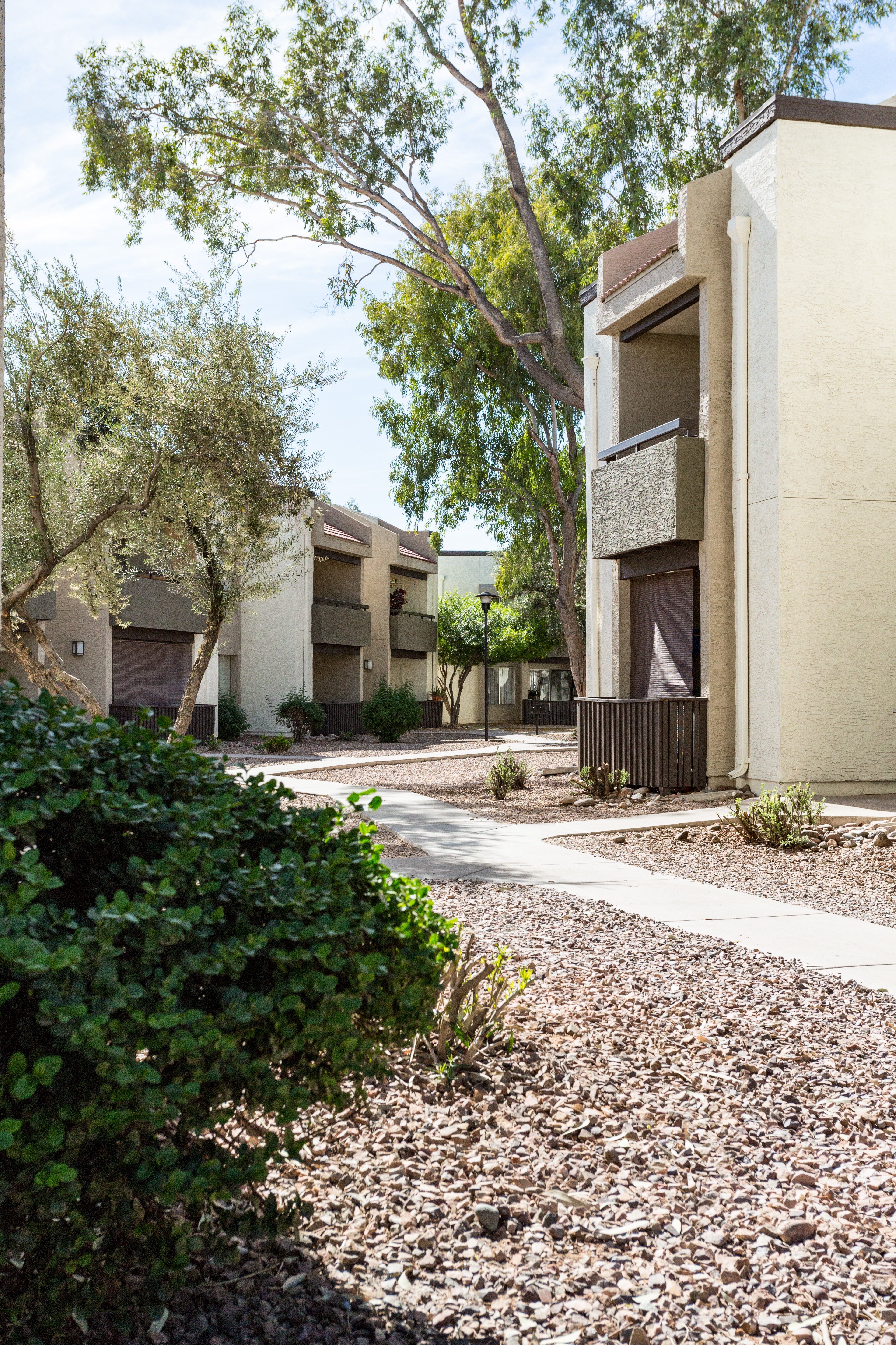 The Meadows, Mesa (see reviews, pics & AVAIL)
