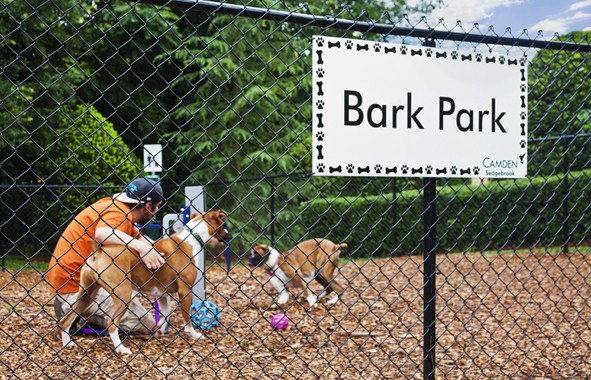 Camden Sedgebrook, Huntersville (see pics & AVAIL)