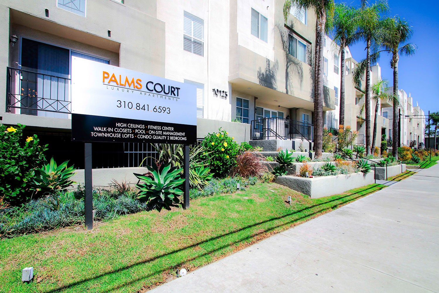 Palms Court, Los Angeles (see pics & AVAIL)