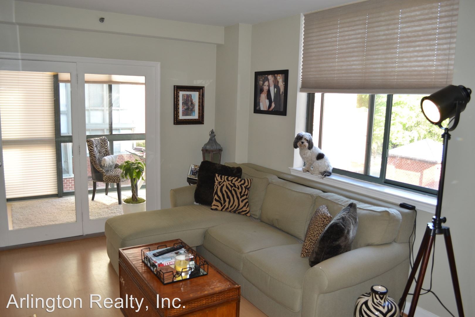 The cheapest apartment rentals available in BallstonVirginia Square,