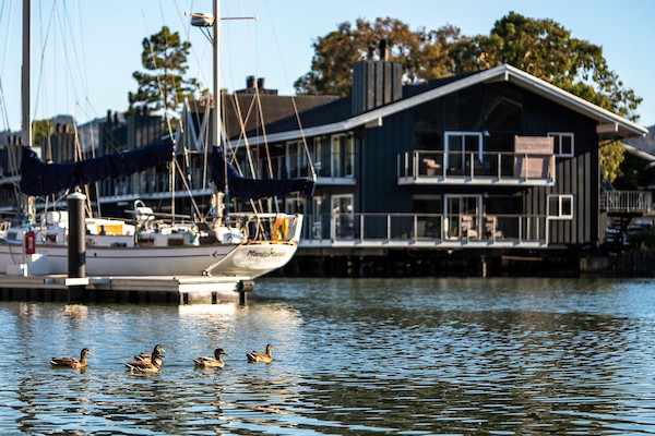 The Cove at Tiburon, Tiburon (see pics & AVAIL)