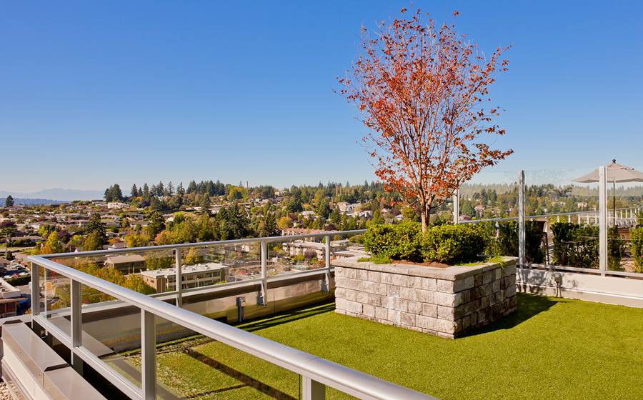Avalon Towers Bellevue, Bellevue (see pics & AVAIL)