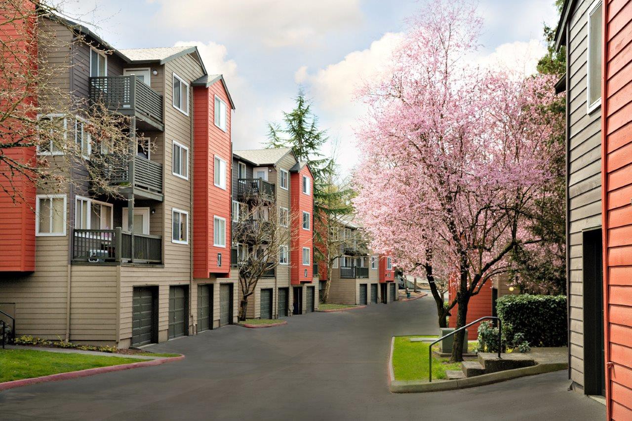 Echo Mountain, Renton (see pics & AVAIL)