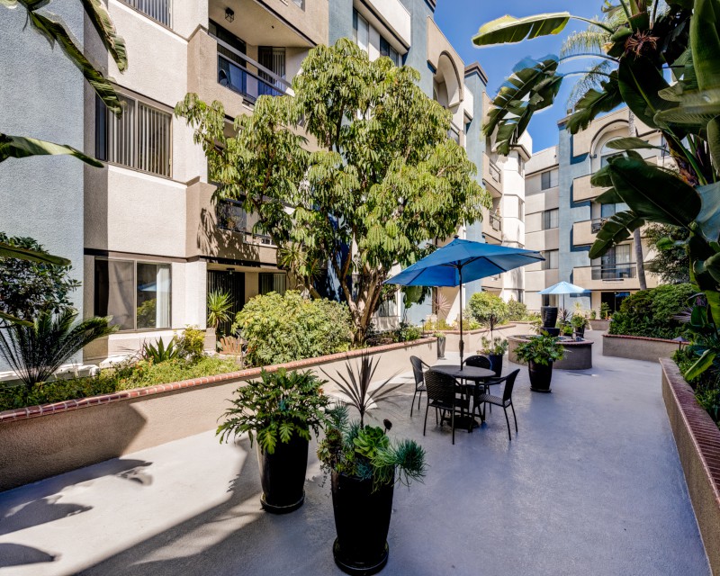 Palm Court Apartments, Los Angeles (see pics & AVAIL)