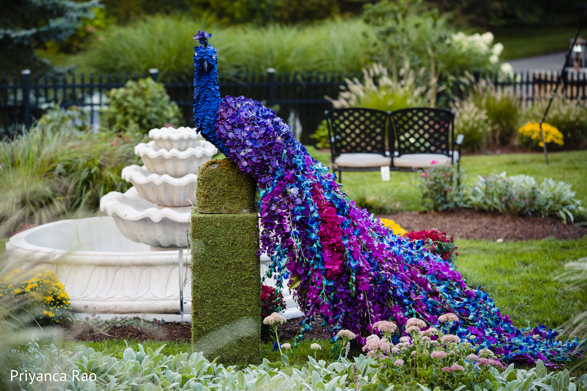 Amazing animal like floral arrangement Photo 213444