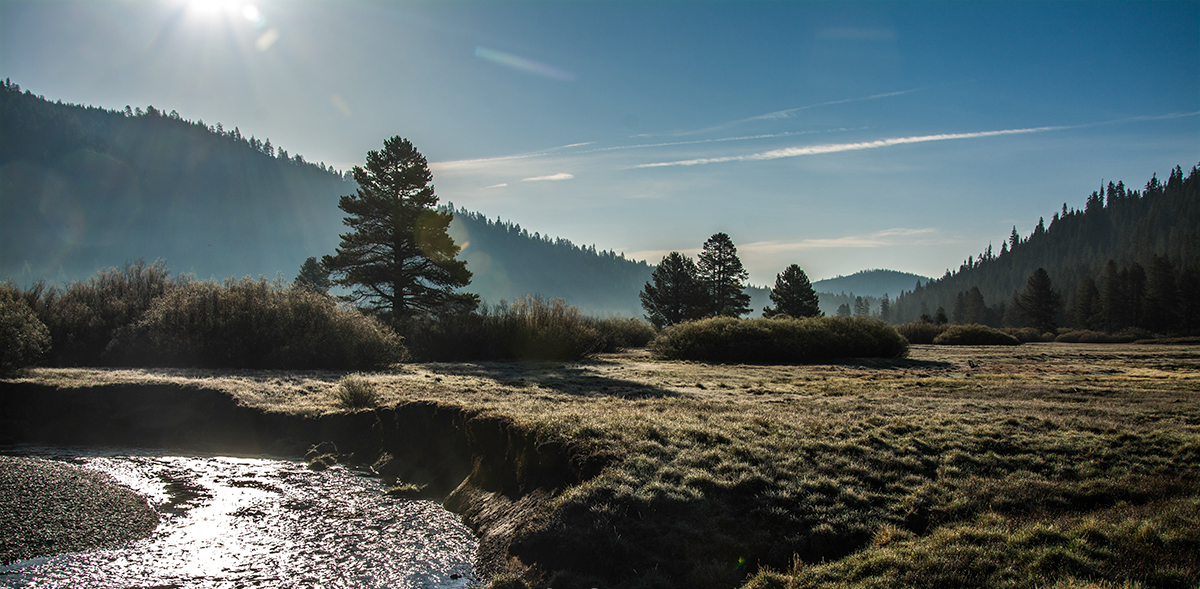 A Sierra Valley Tribute to Ruth Anne Kocour Rancho La Puerta