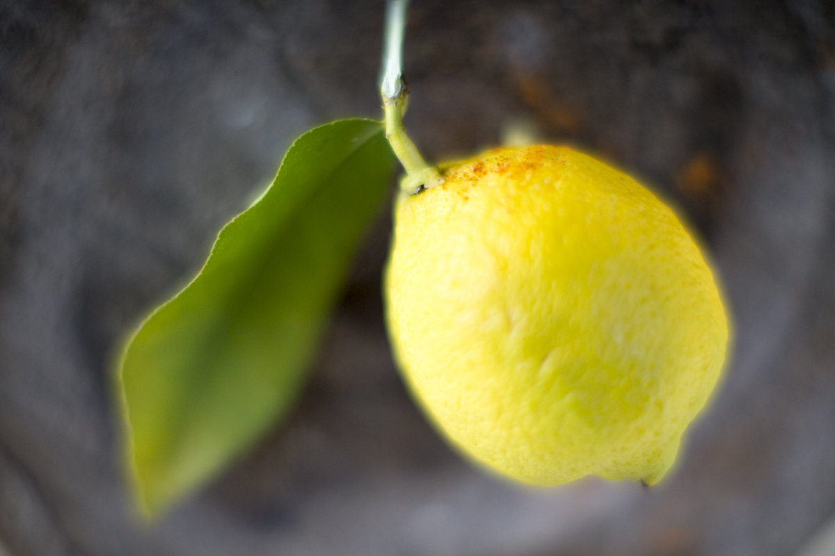 Natural Energy Juice Shot A Power Booster Recipe Rancho La Puerta