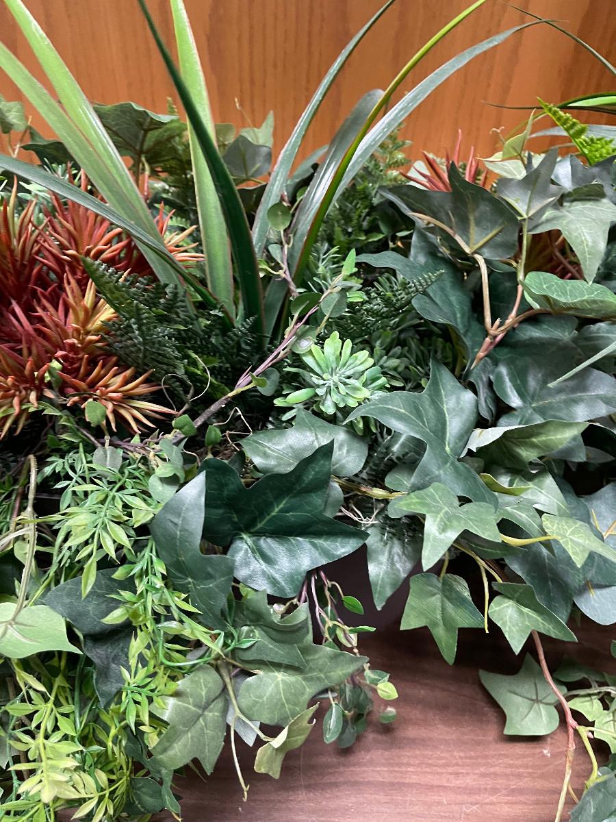 SILK Plants / Greenery