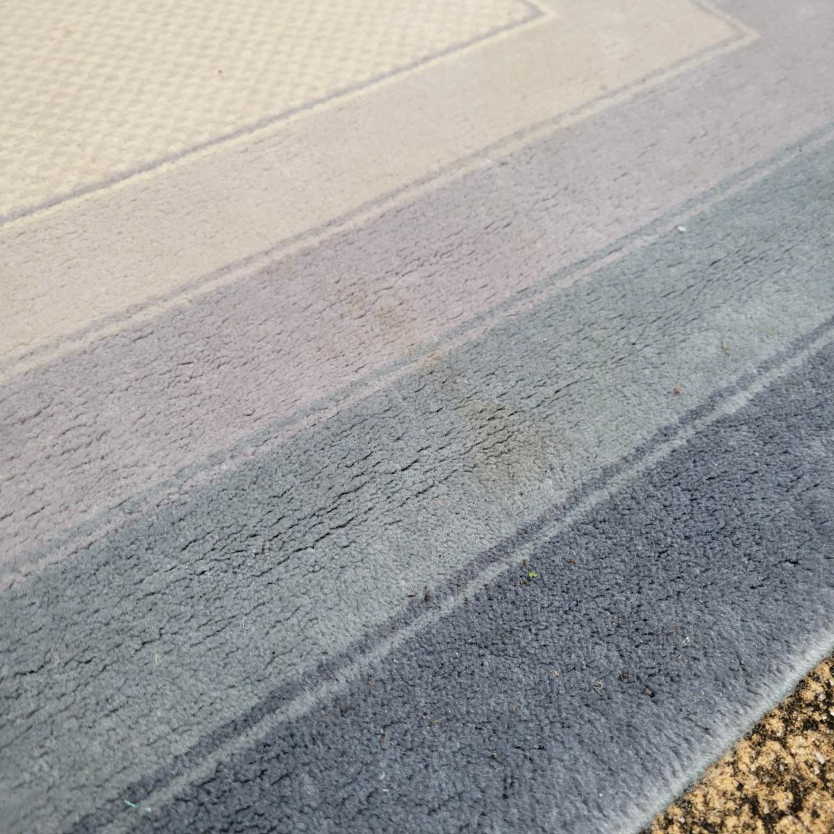 Blue and Cream Area Rug (GDW)
