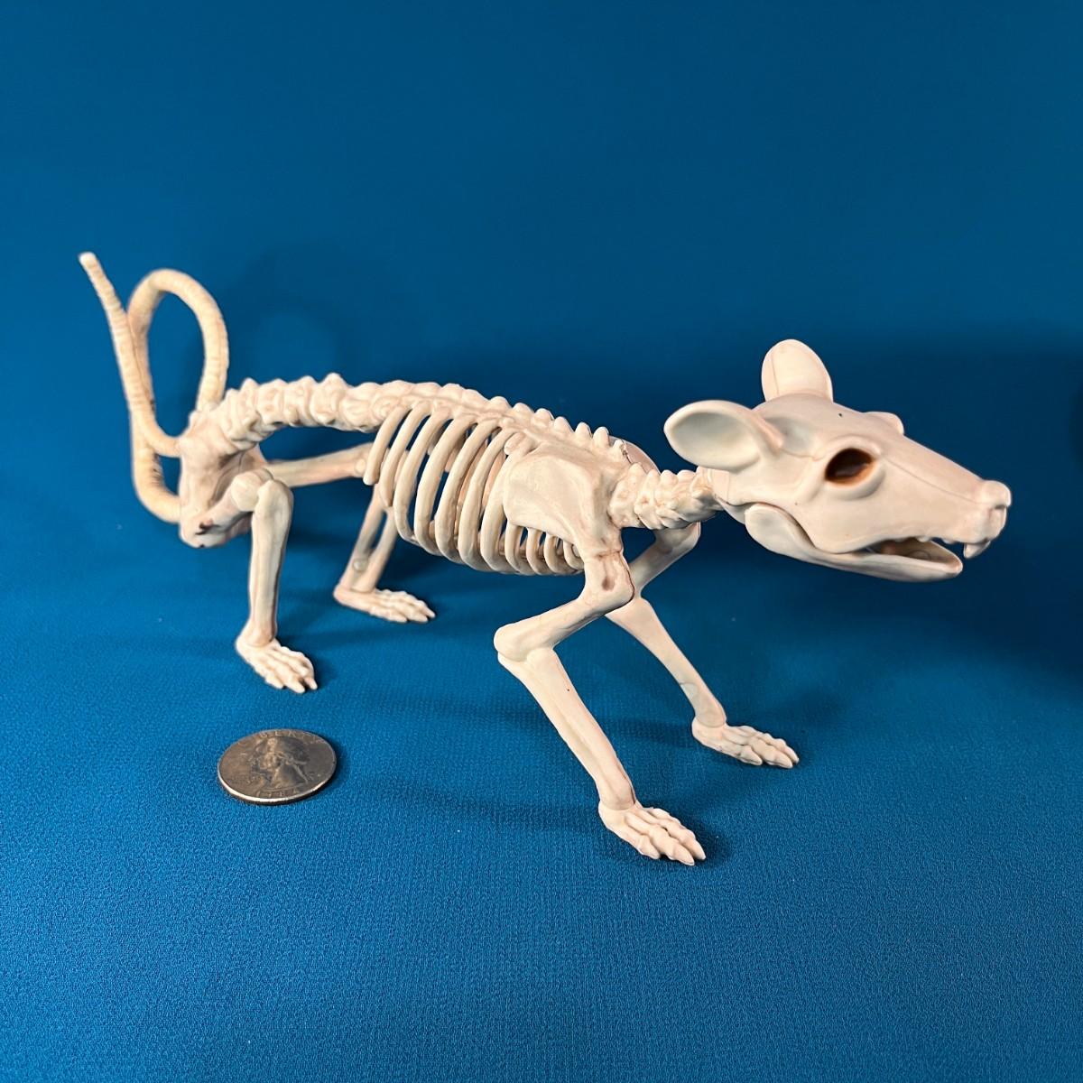 RAT SKELETON HALLOWEEN DECORATION