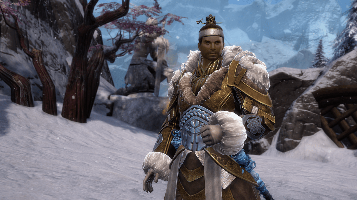 Gw2 New Hairstyles 2023 New Character Customization Options Are Available Now | Guildwars2.Com