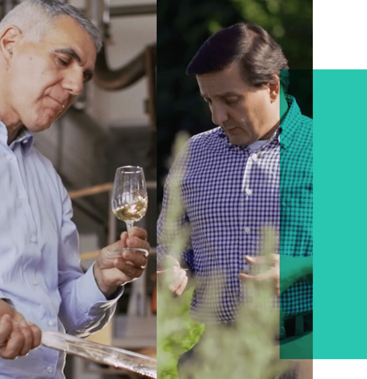 Martini Bacardi Brands