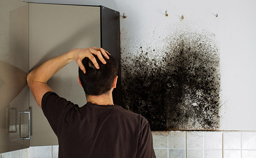 Preventing Mold in your Home in Florida