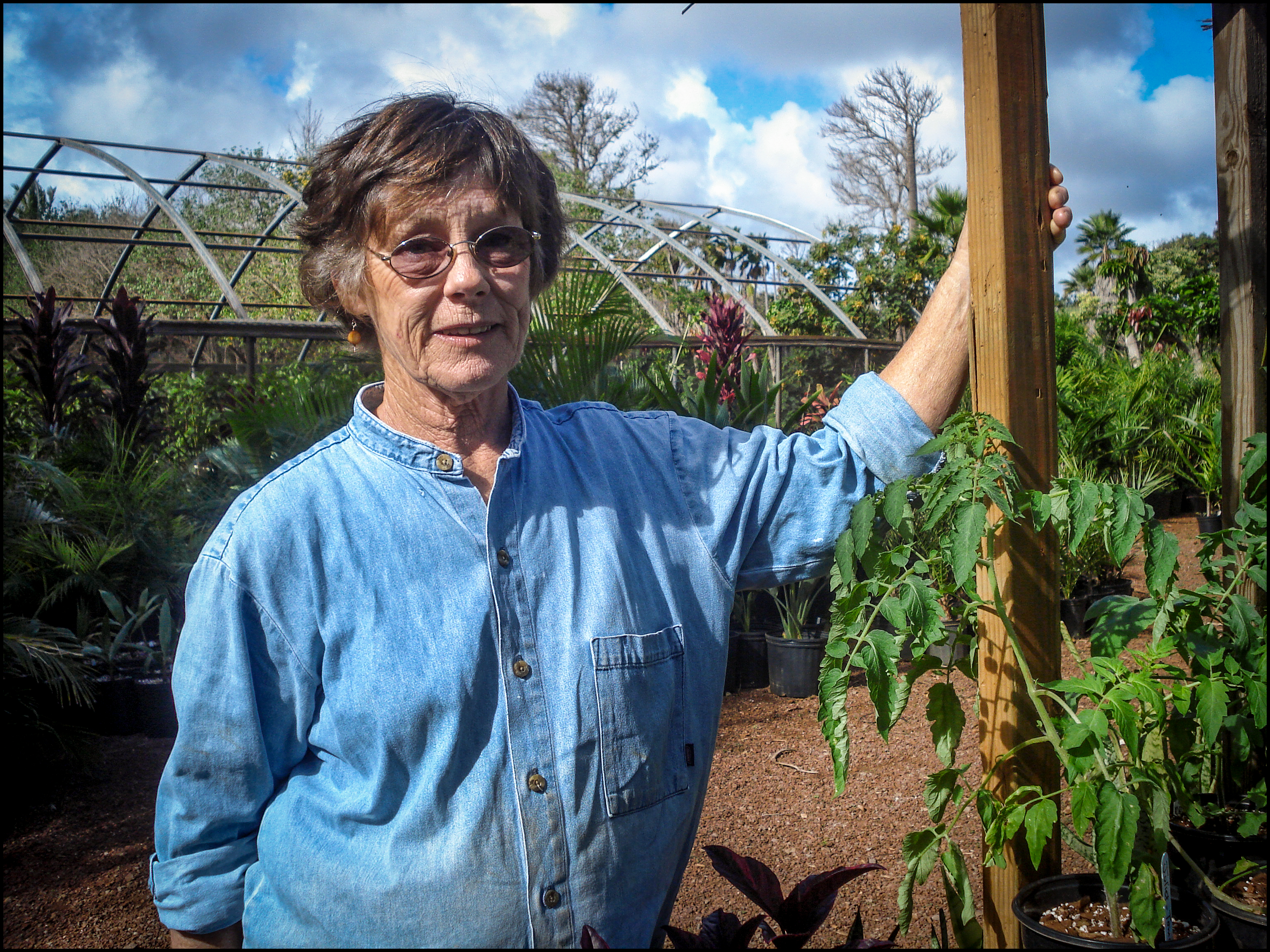 Fruit Growers Featured Farmer The Molokai Dispatch
