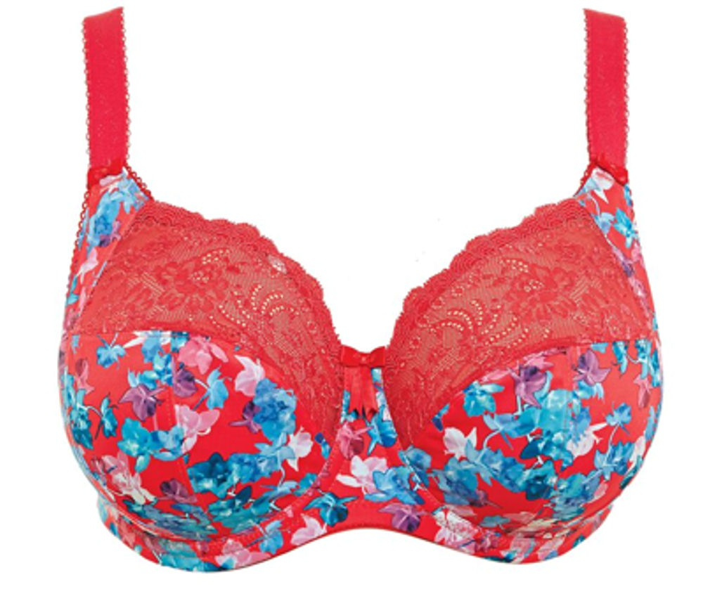 Elomi 4110 Underwired Banded Stretch Full Cup Non Padded