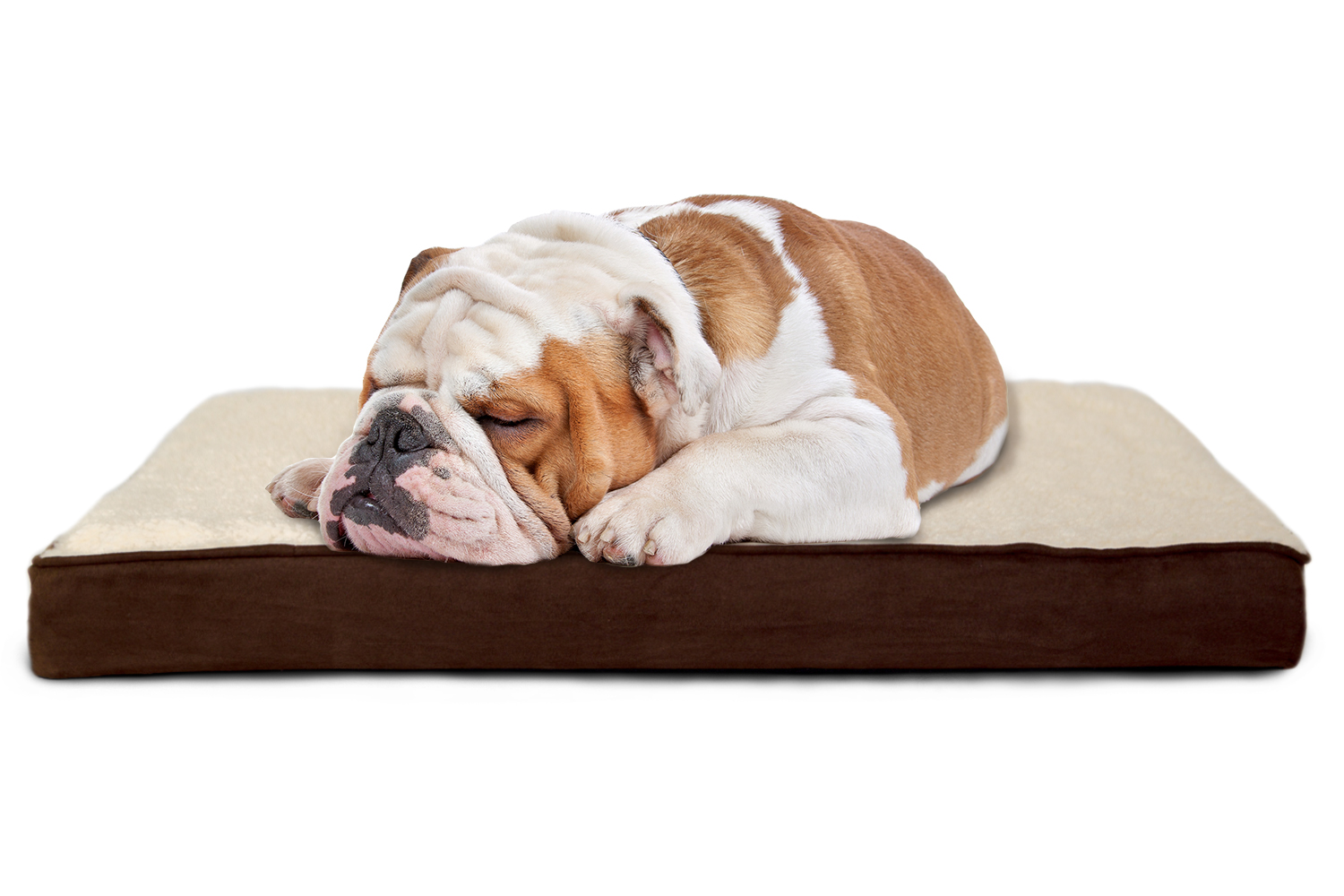 FurHaven Pet Nap Pet Bed Deluxe EggCrate Orthopedic Mat Pet Bed Dog