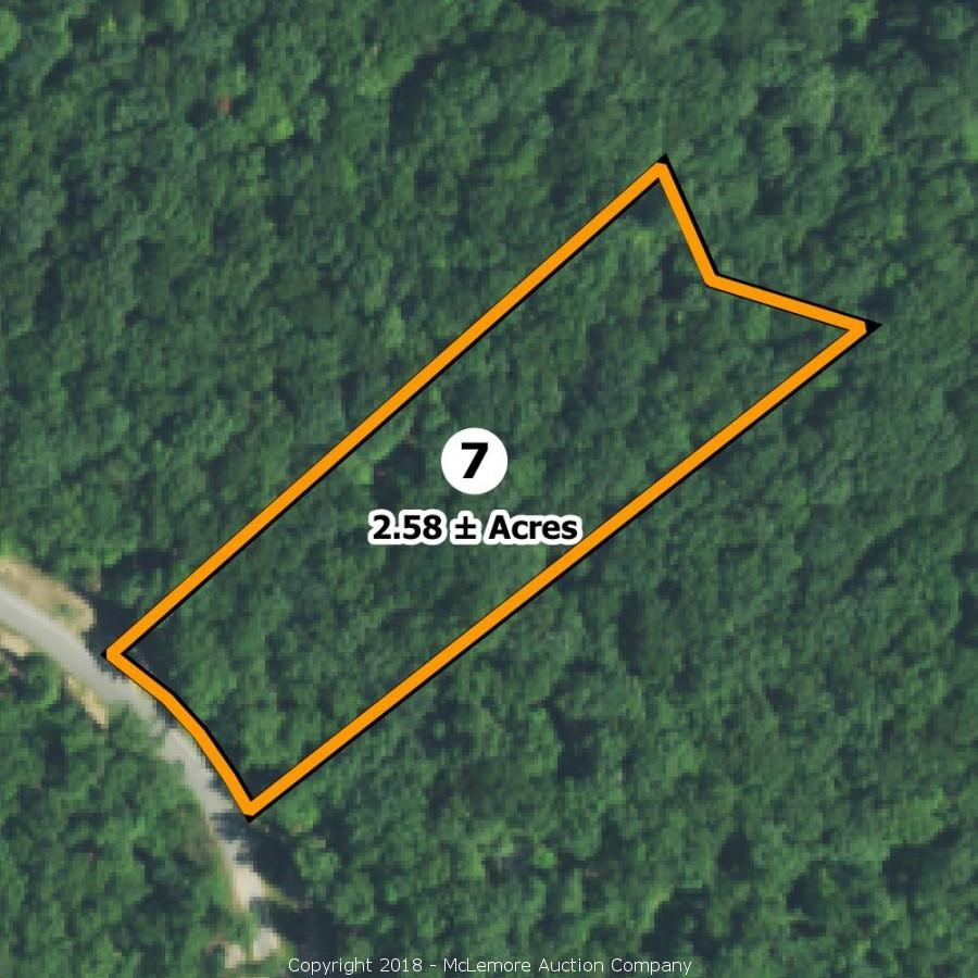 McLemore Auction Company Auction 34 Building Lots in Eagle Bluff