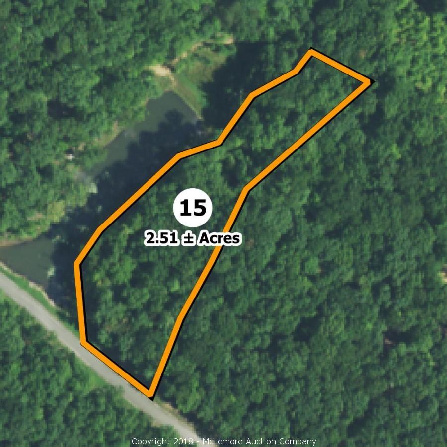 McLemore Auction Company Auction 34 Building Lots in Eagle Bluff