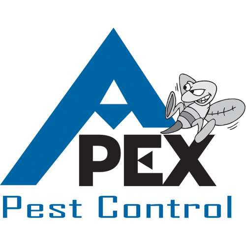 10 Best Pest Control Companies in University Heights, OH Today's