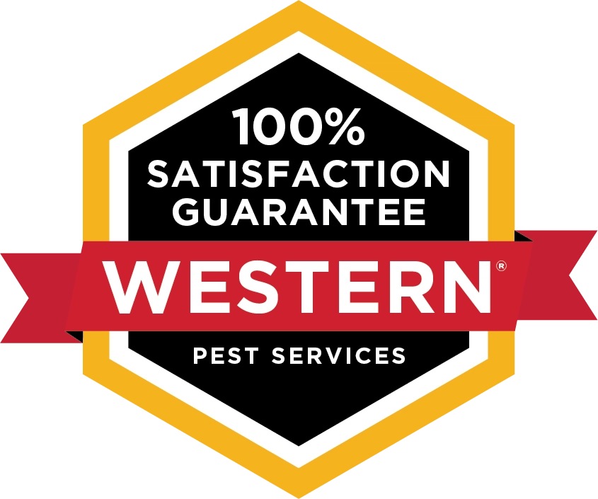 10 Best Pest Control Companies in Philadelphia, PA Today's Homeowner