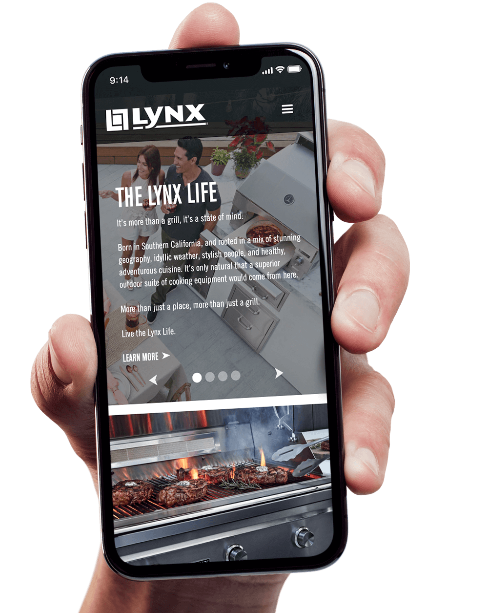 Custom Web Design Company Cybernautic