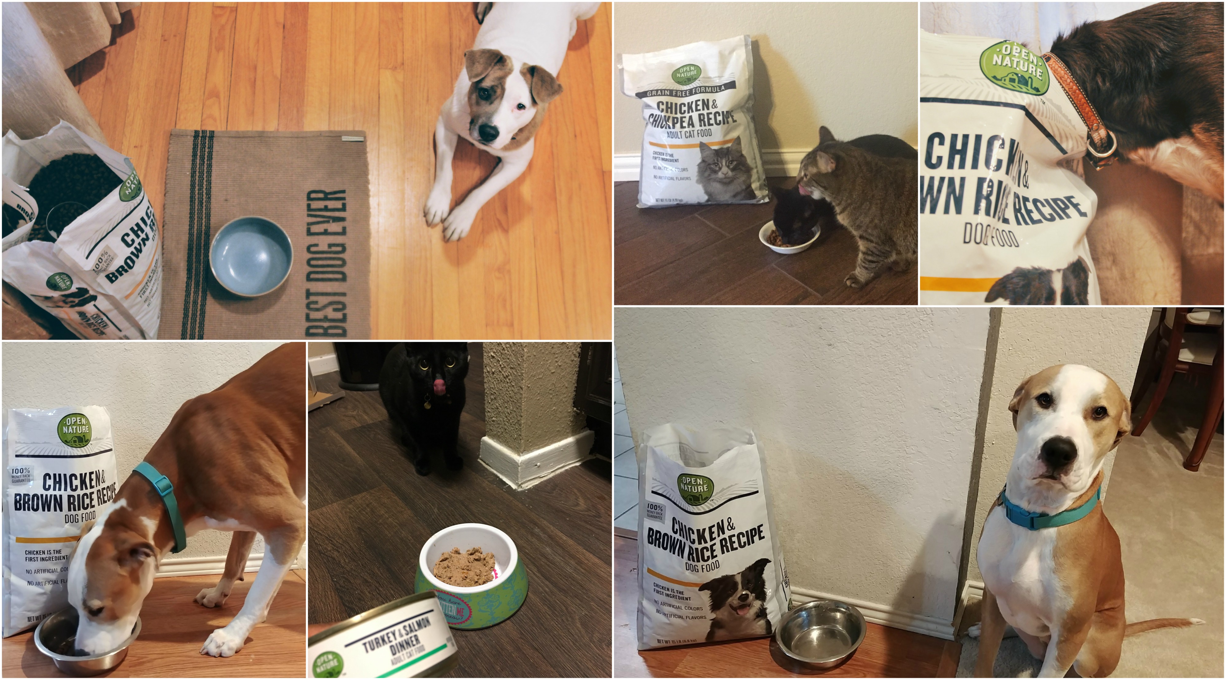 New Product Review Open Nature GrainFree Pet Food