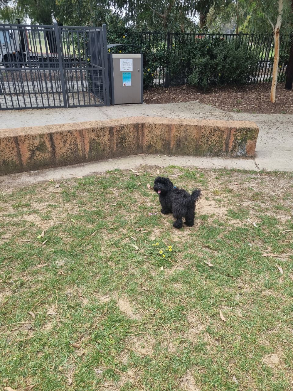 John Dunn Memorial Park Dog Park DogPack