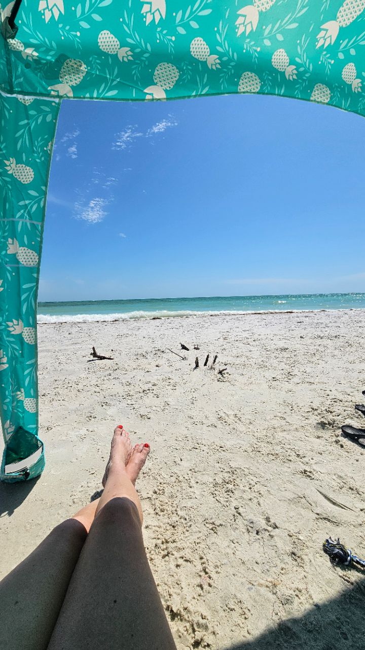 Honeymoon Dog Beach DogPack