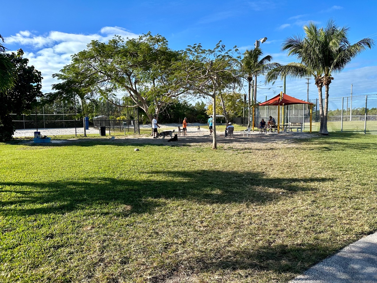 Big Pine Key Dog Park DogPack