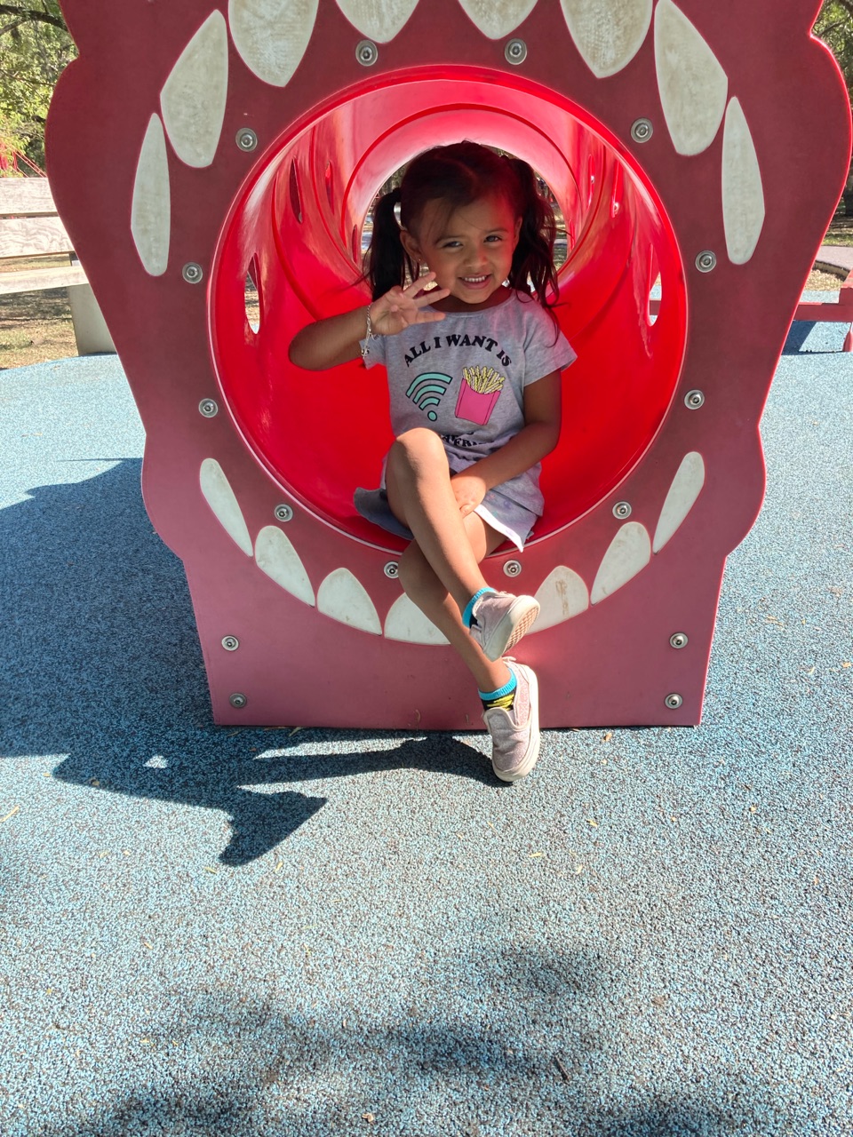 Panther Springs Dog Park DogPack