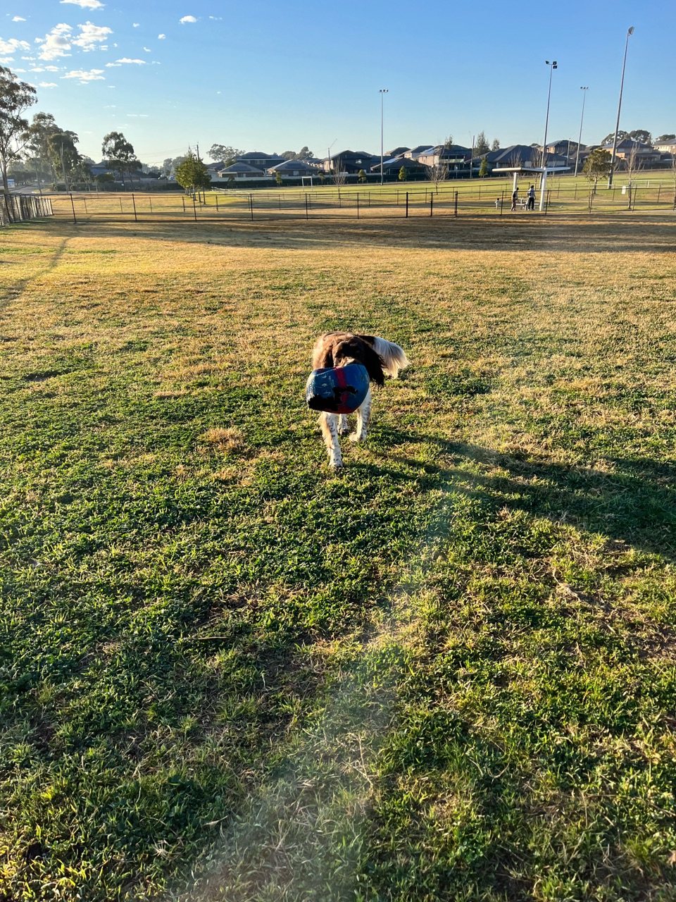 Heber Off Leash Dog Park DogPack
