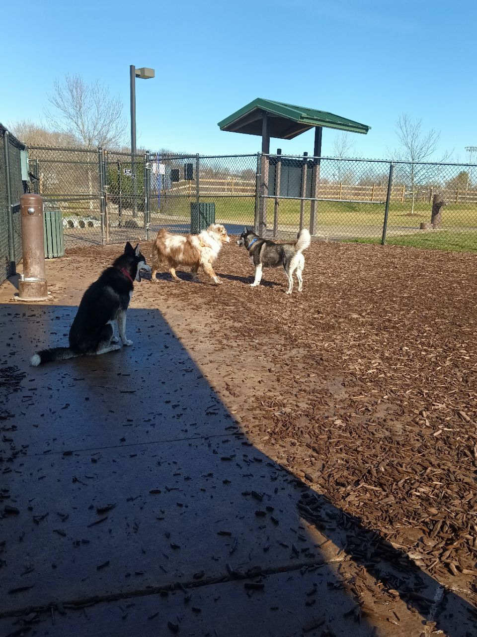 Ballenger Creek Dog Park DogPack
