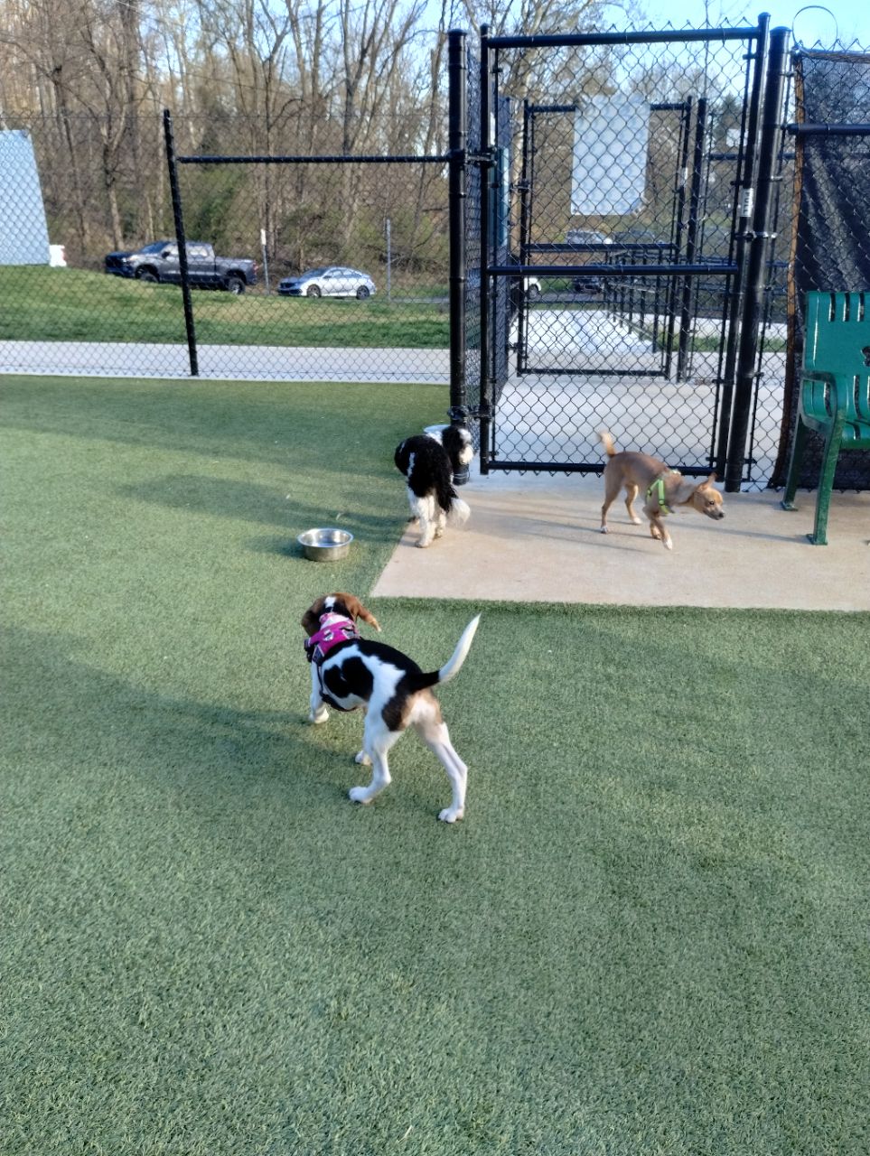 Ma & Pa Dog Park DogPack