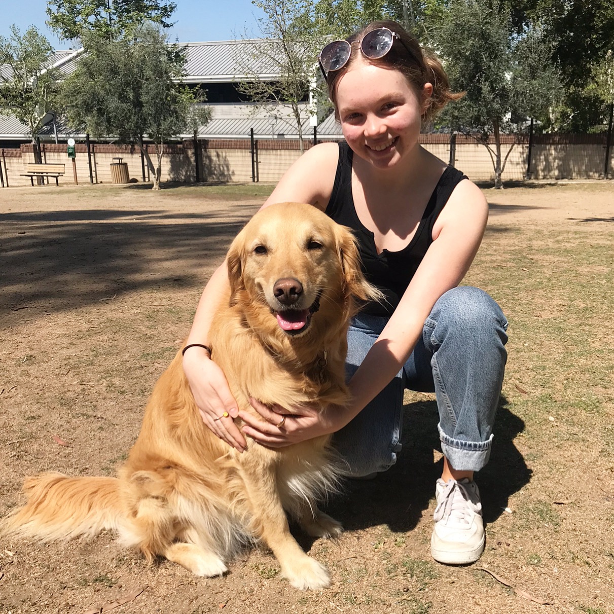 Westlake Village Dog Park DogPack