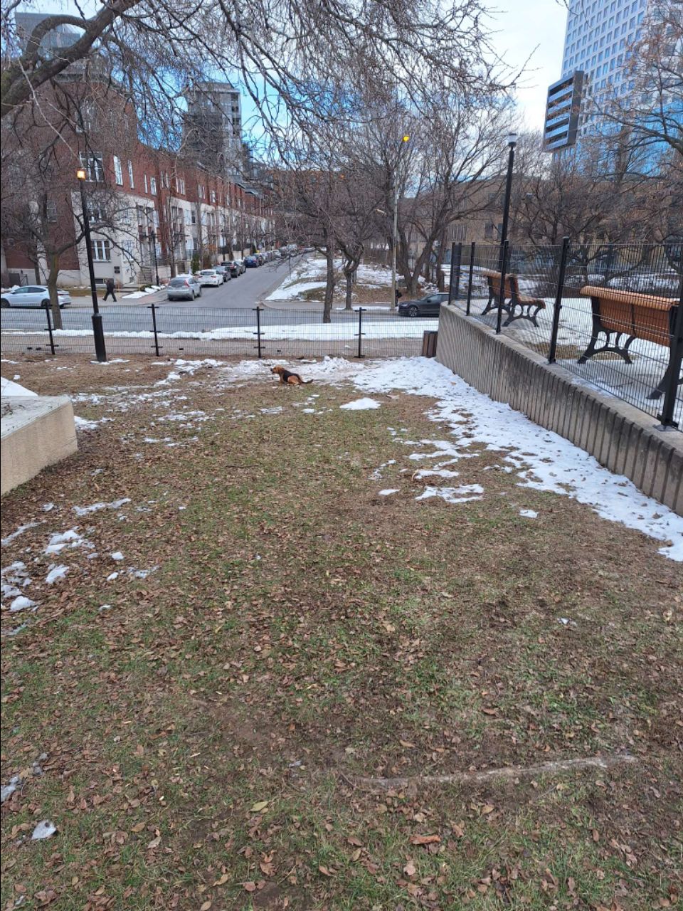 Arwen Dog Park DogPack