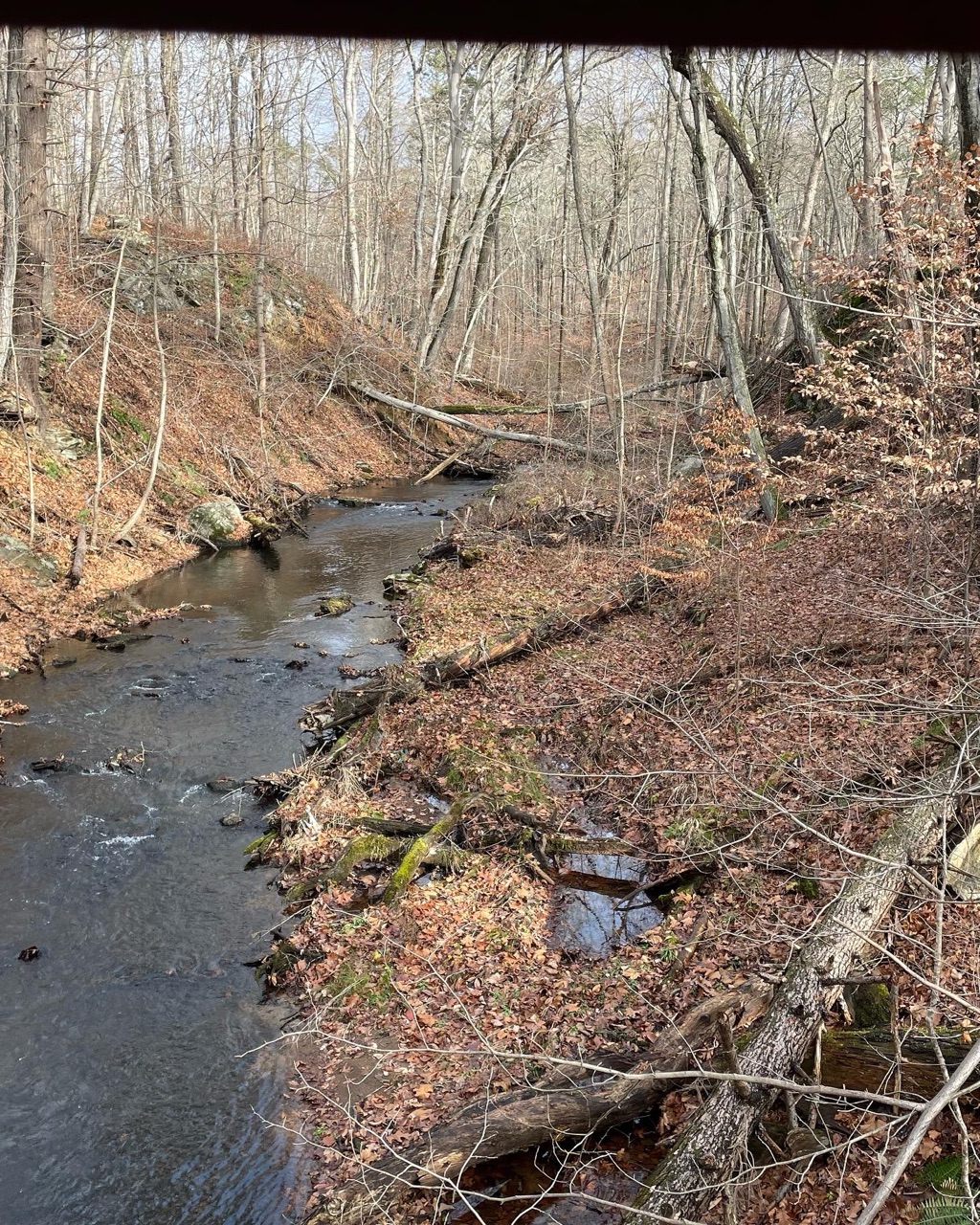 North Farms Park DogPack