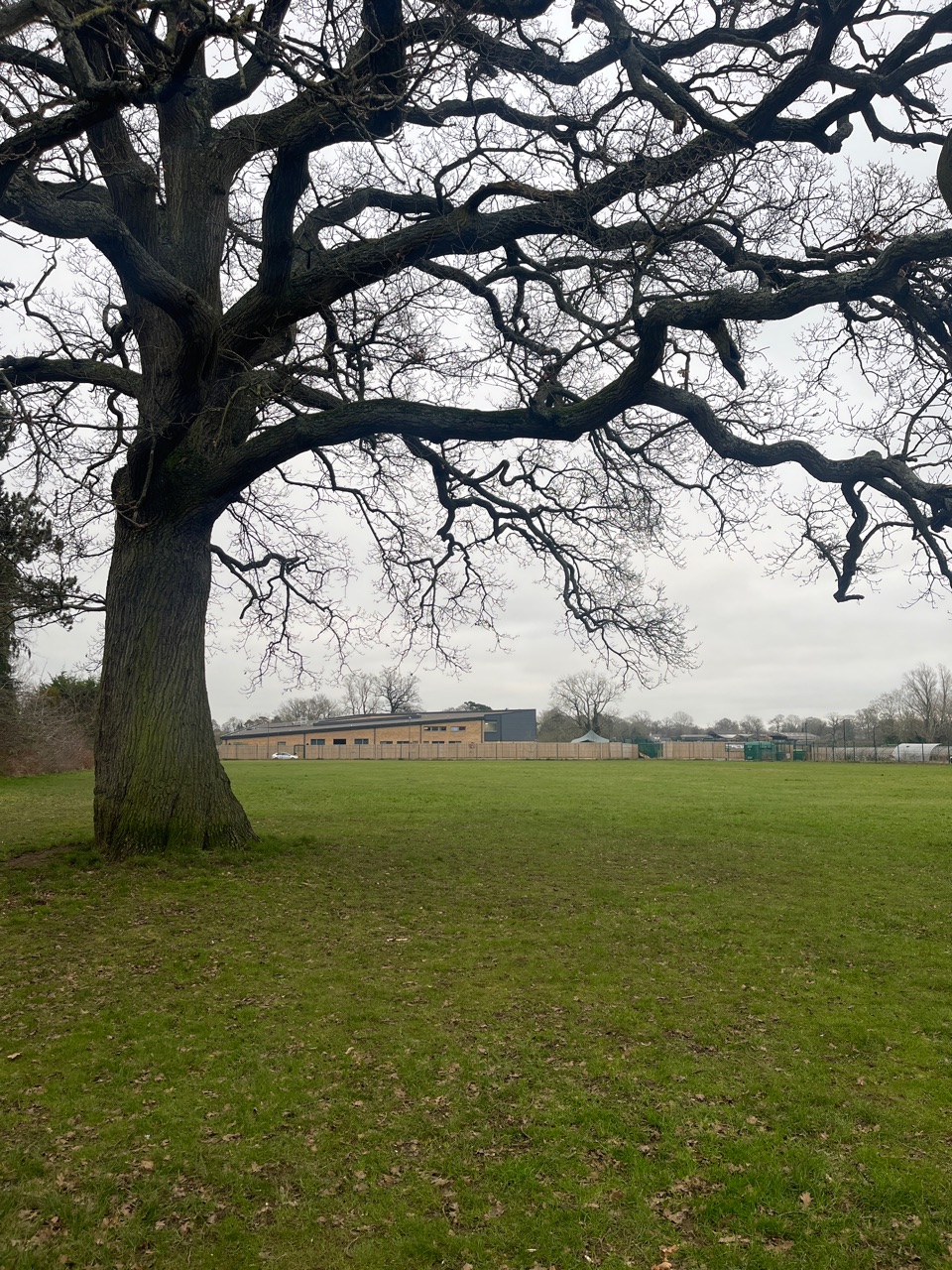 Long Furlong Fields DogPack