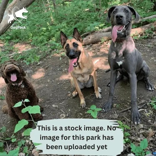 Best Dog Parks In Quincy Washington United States