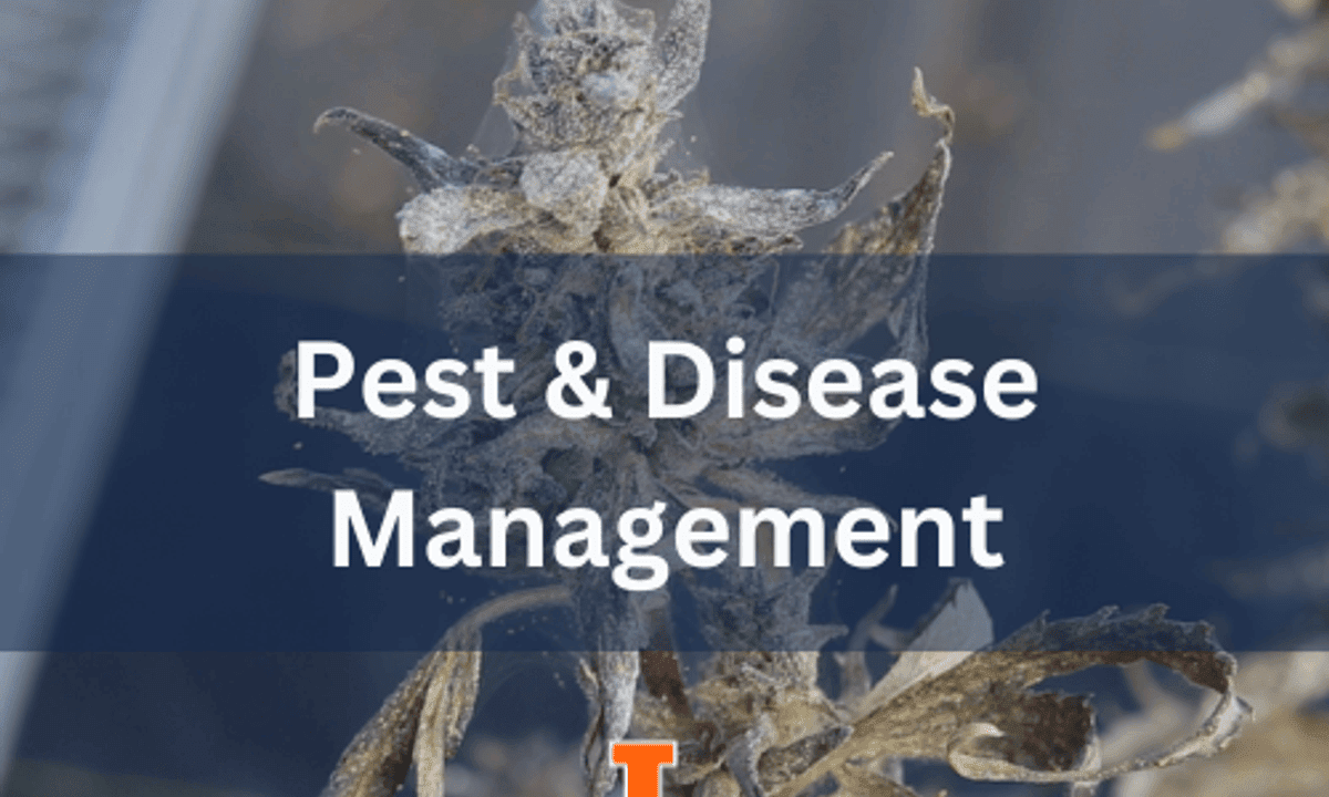 Free Course Pest & Disease Management from University of Illinois at