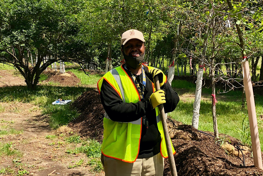 Growing trees, growing jobs American Forests