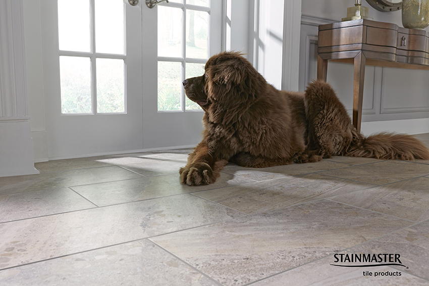 PetFriendly Flooring in San Diego at Coles Fine Flooring