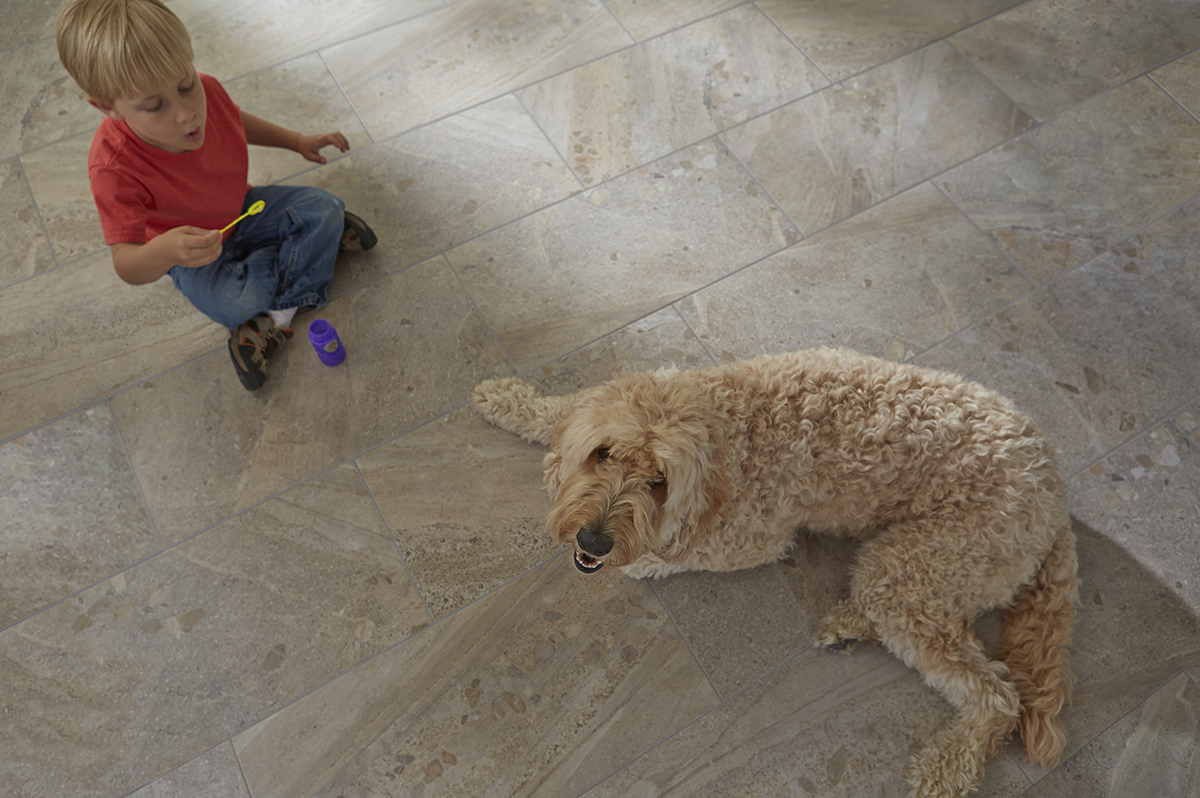 Best Flooring Choices for Pets Coles Fine Flooring