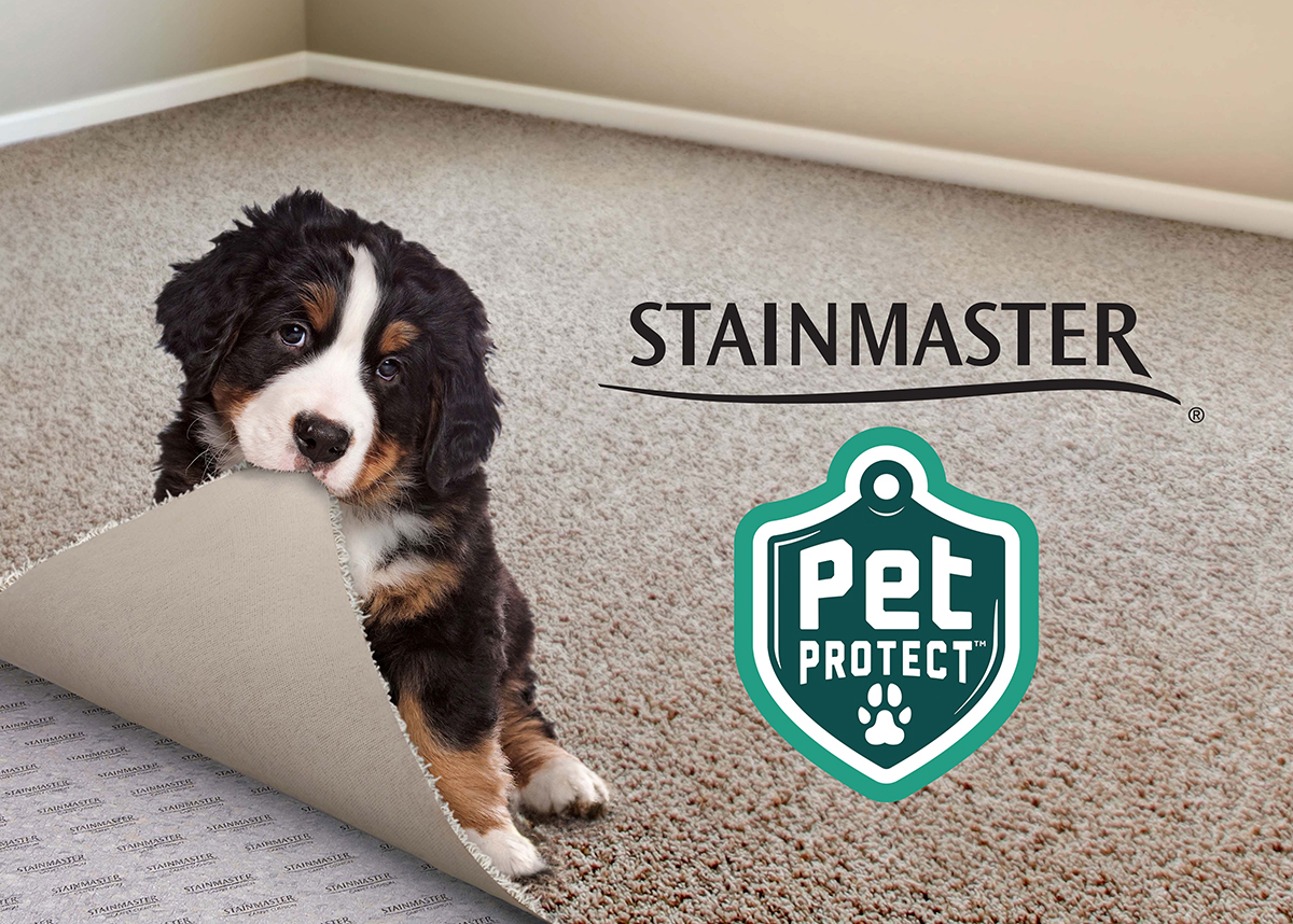 Stain Protection for Your Carpet Coles Fine Flooring