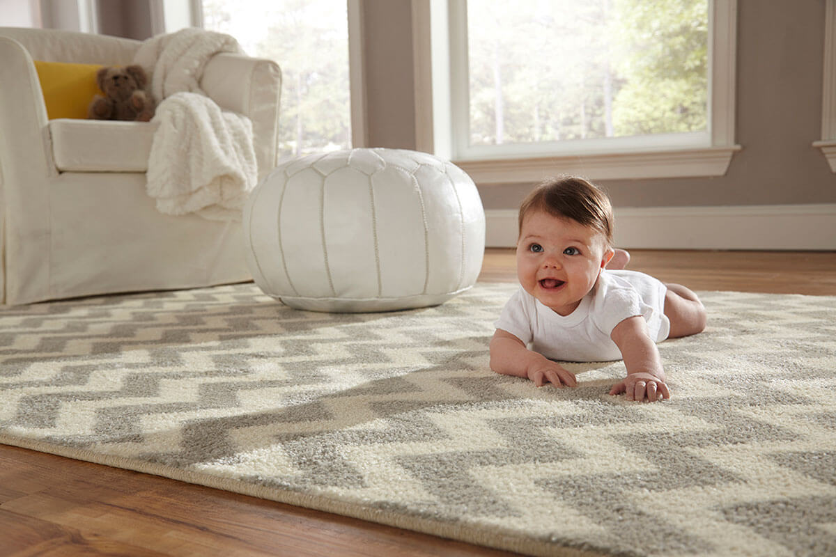 Area Rugs Style & Design Image Gallery Coles Fine Flooring