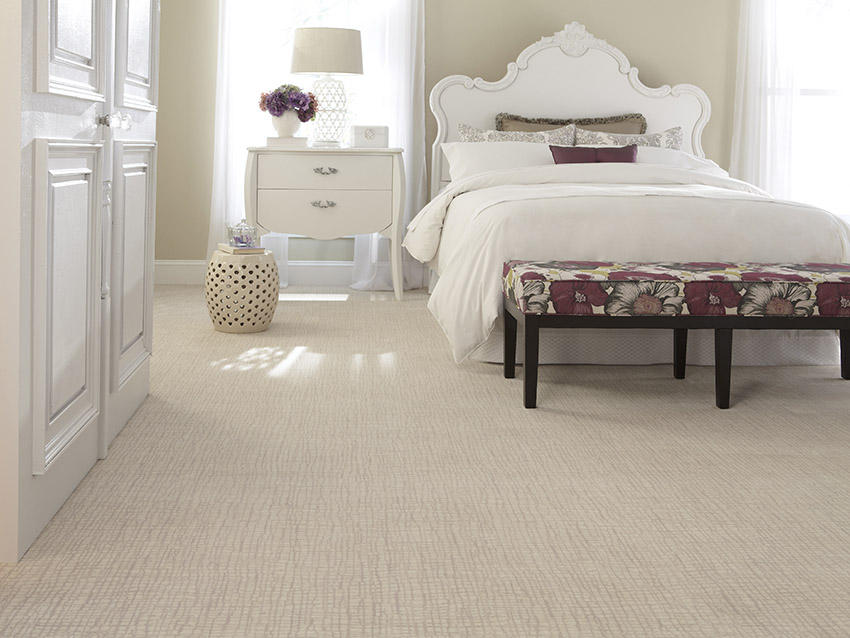 The Benefits of Wool Carpet for Pet Owners Coles Fine Flooring
