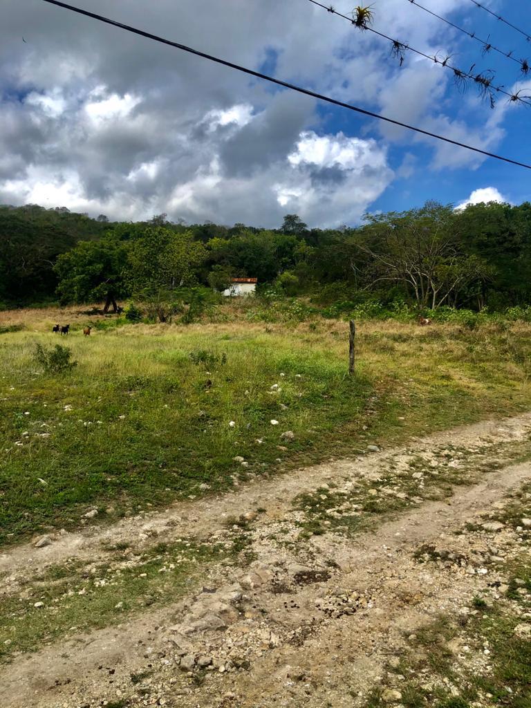 Development Land (Residential) For Sale MOOR PARK, Adelphi