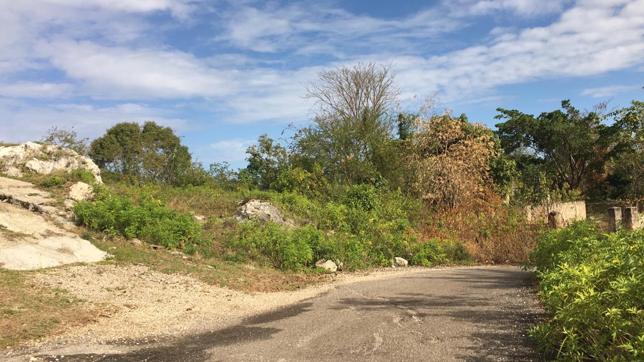 Residential Lot For Sale WHITEHALL NEGRIL, Negril 4,200,000 Keez