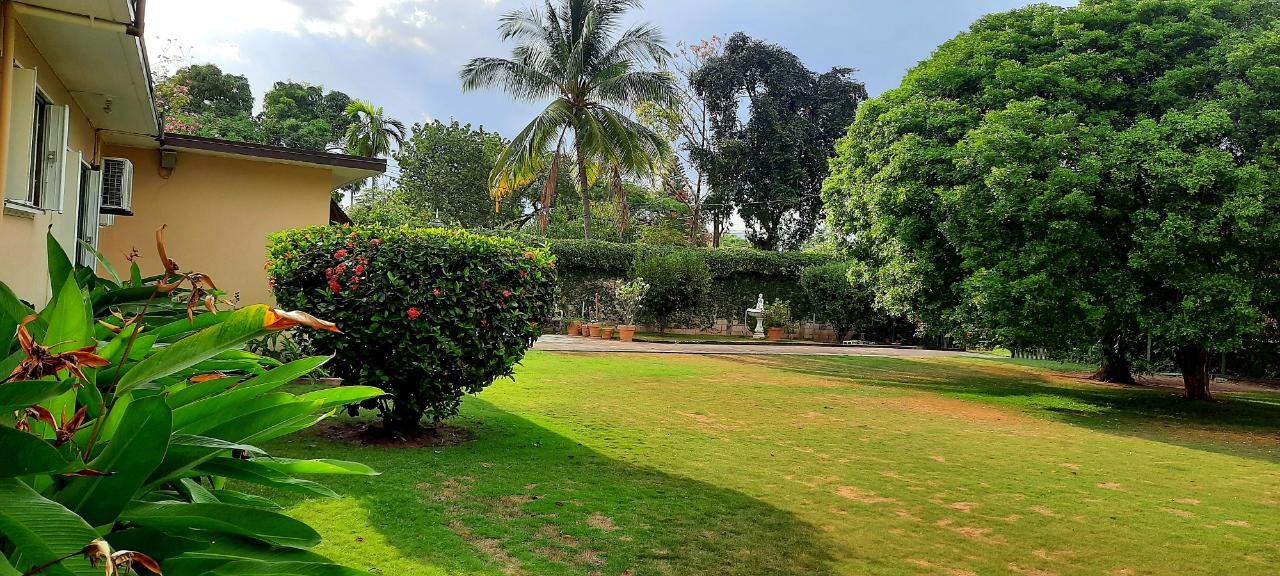 House For Rent GLOUCESTER AVENUE,, Kingston 6 350,000 Keez